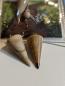 Preview: Pendel versteinertes Holz