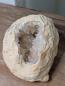 Preview: CALCIT Druse kleiner aber oho
