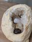 Preview: CALCIT Druse kleiner aber oho