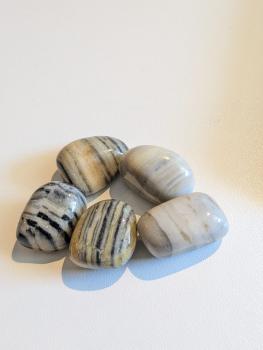 Zebra Jaspis