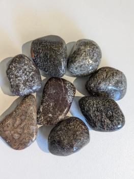 Dinosaurierknochen Trommelstein
