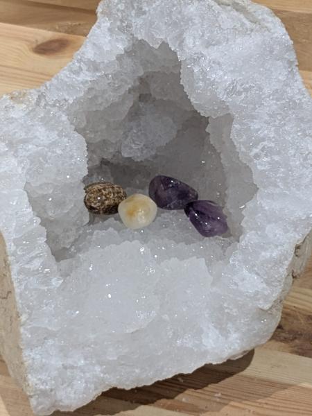 Druse/Geode Quarz mit tiefer Schale und klaren Spitzen - Die Glitzernde