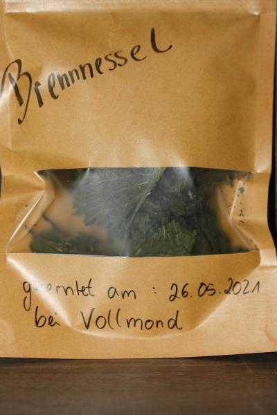 Brennnesseln, bei Vollmond geerntet
