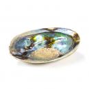 Regenbogen Abalone (Paua) Muschel räuchern 12-14 cm ca.